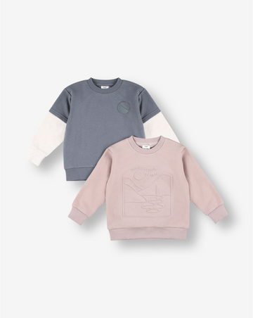 2 Sweatshirts Pack FB3